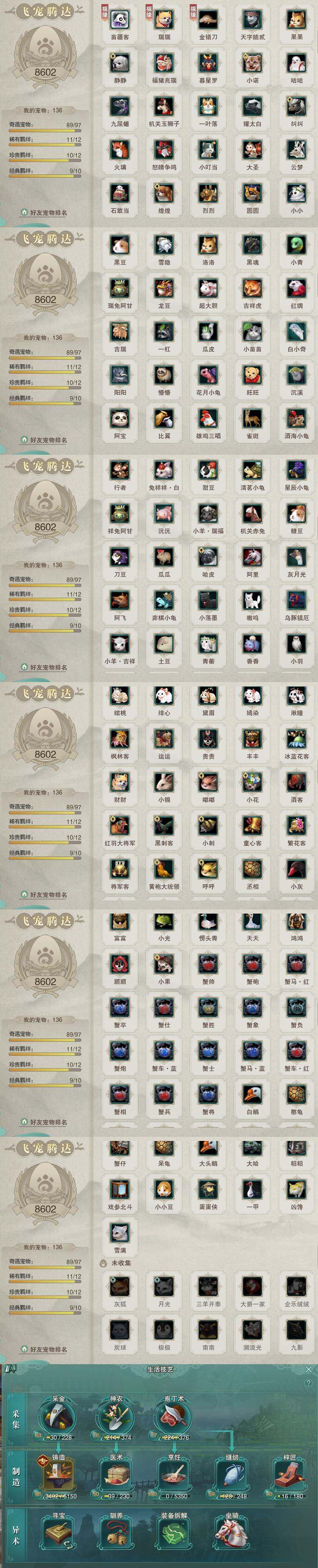 12-宠物生活技能.jpg