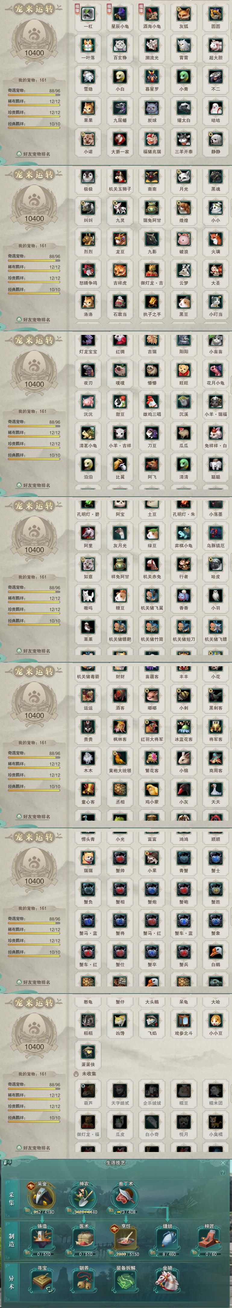 12-宠物生活技能.jpg