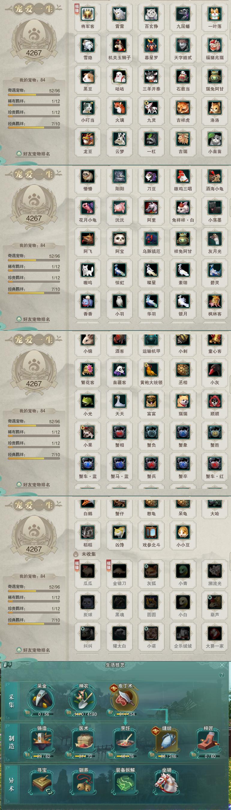 12-宠物生活技能.jpg